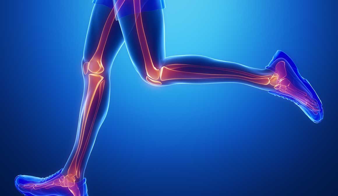 Ligamento-2