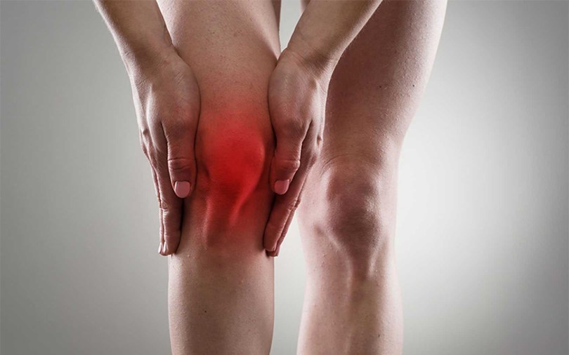 Rodilla (1)